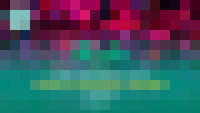 IMS_facebook_post_lucky(1080x1920)2.jpg